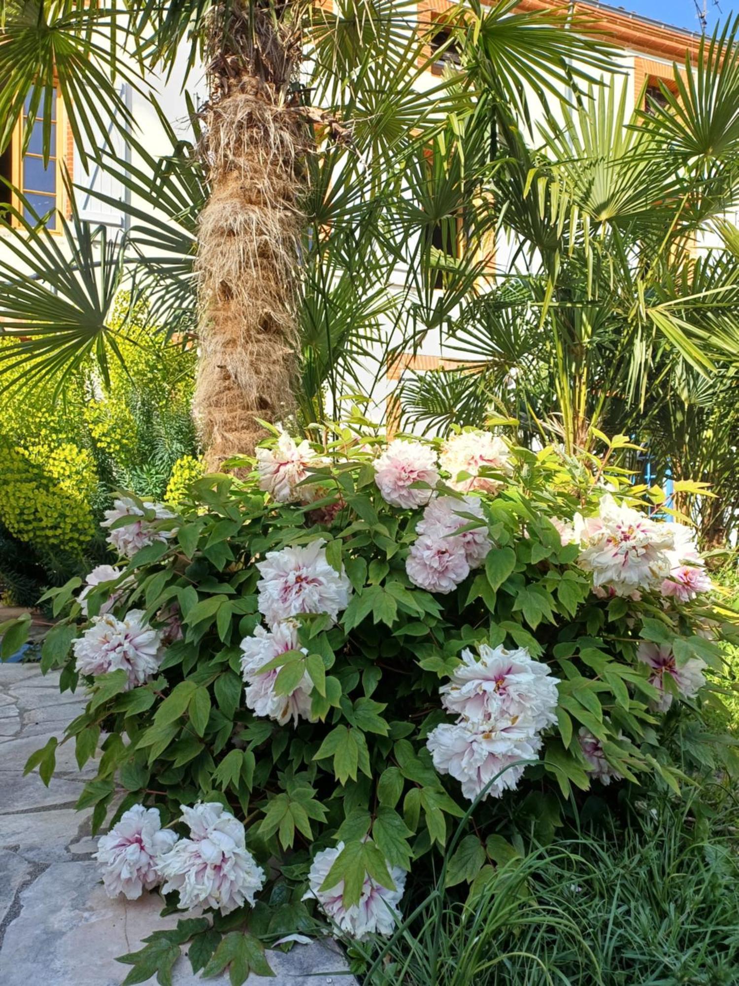 Hotel Le Relais De Lezat Exterior foto